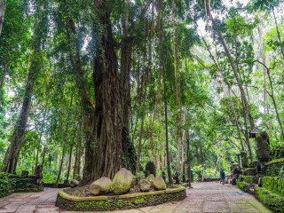 巴厘岛7日旅游_到巴厘岛旅游跟团报价_到巴厘岛旅游团
