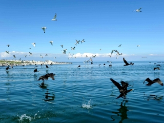 青海最佳旅游路線_青海游花多少錢_青海游報價