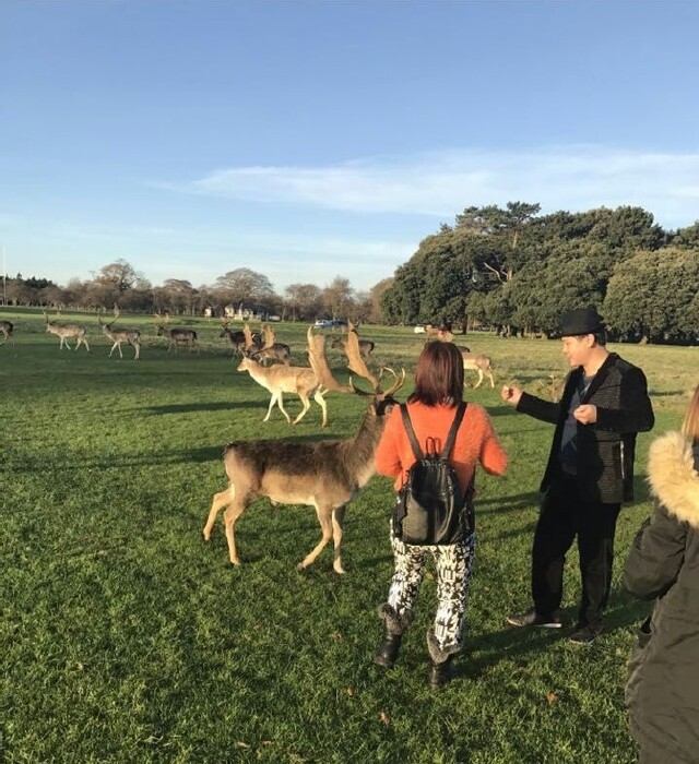 印象中的英国,爱尔兰