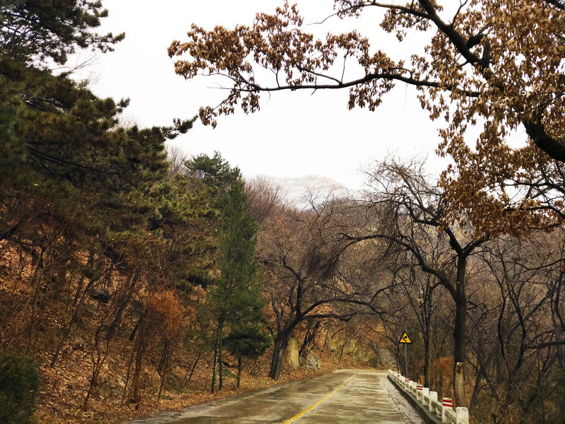 盘山公路