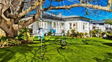 【中文用车 经典优选】 奥克兰市内包车一日游