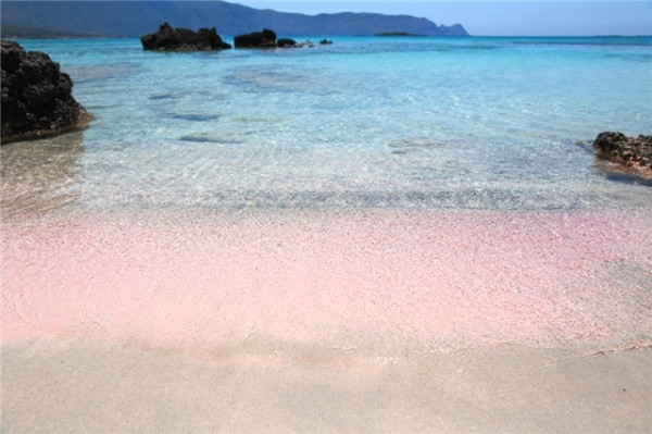 十月去粉色沙滩旅游必备物品_十月去粉色沙滩