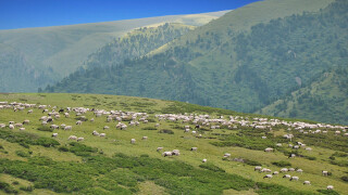 冬天去新疆旅游穿衣指南_冬天去新疆旅游当地天气_冬天去新疆旅游美食推荐