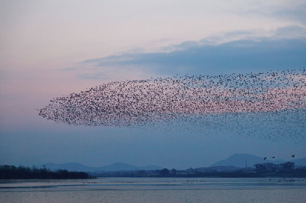 端午节去贝加尔湖旅游必备物品_端午节去贝加