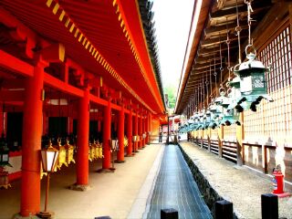 日本十一日游旅游团_日本游旅行团报价_日本九日游路线