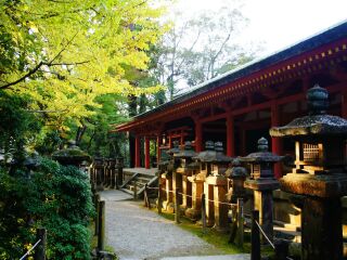 旅行团日本旅游_日本旅游不跟团_去日本7天游