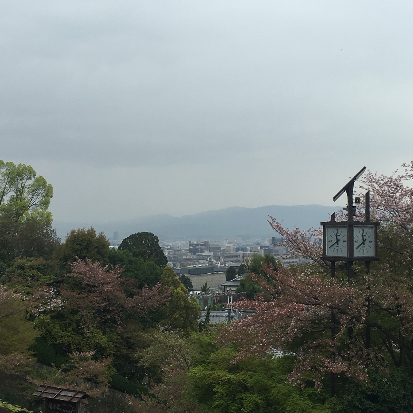 [端午] 东京-京都-奈良-大阪6日游 全程指定优质