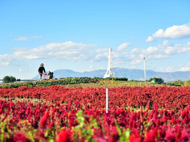 花语牧场