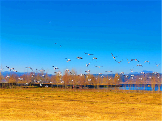 麗江瀘沽湖旅游團(tuán)報(bào)價(jià)2021_麗江瀘沽湖旅游報(bào)團(tuán)價(jià)格_報(bào)團(tuán)去麗江瀘沽湖多少錢(qián)