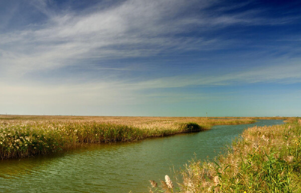 东营最佳旅游时间_东营有什么好玩的地方_东