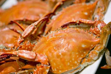 food_picture