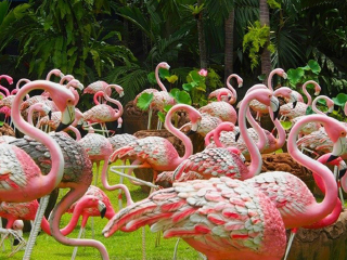 去泰國(guó)旅游怎么走_(dá)深圳特價(jià)泰國(guó)游_泰國(guó)旅游團(tuán)