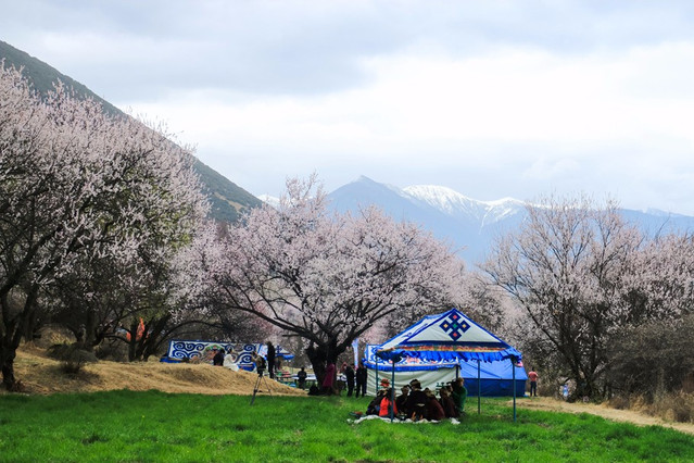 嘎拉桃花村