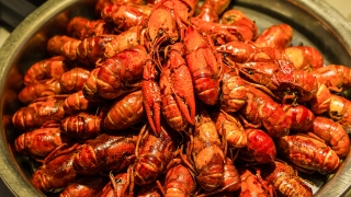 杭州平海路附近吃饭的地方、餐厅、美食