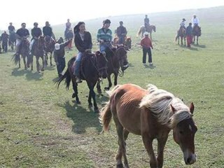 內(nèi)蒙古旅游費(fèi)用_旅游團(tuán)內(nèi)蒙古_現(xiàn)在去內(nèi)蒙古旅游多少錢