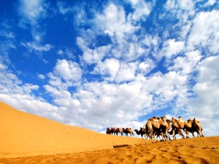 近期到希拉穆仁草原旅游_希拉穆仁草原旅游选择_希拉穆仁草原高端旅游