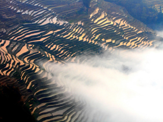 云南元陽梯田旅游跟團(tuán)需多少錢_云南元陽梯田游特價團(tuán)_云南元陽梯田報團(tuán)旅游多少錢