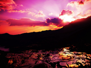 云南元陽梯田旅游跟團(tuán)需多少錢_云南元陽梯田游特價團(tuán)_云南元陽梯田報團(tuán)旅游多少錢