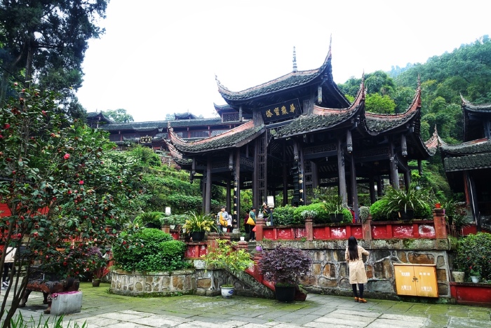 芳兰人口_如意芳兰(3)