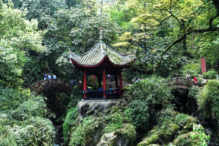 着的水声单一而清晰,加上两桥,被誉为"双桥清音,成为峨眉十景之一