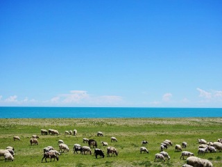 青海跟團(tuán)還是自由行_2021去青海跟團(tuán)多少錢_青海旅游價(jià)格多少