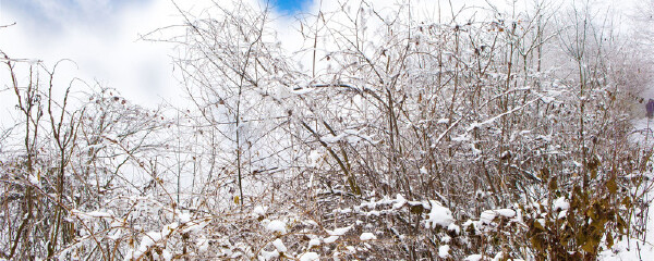 秋天去西岭雪山穿衣指南_秋天去西岭雪山当月