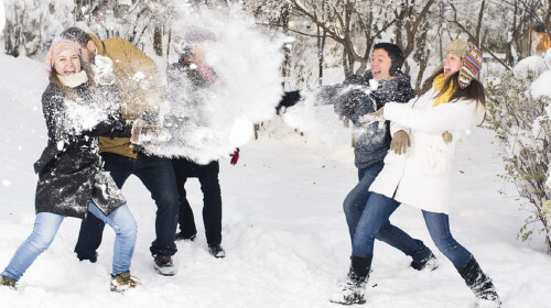打出溜滑,打雪仗,堆雪人】(自由活动1小时)(这些看着简单的活动,可是