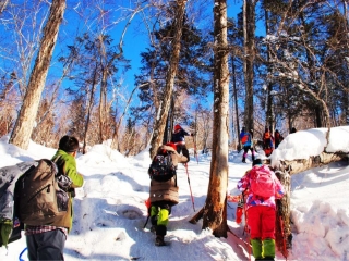 哈尔滨旅游最新_哈尔滨跟团游旅游_组团去哈尔滨