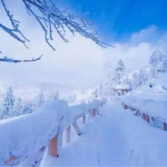 小交通模块 