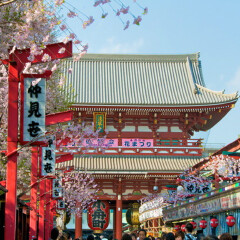 景点模块 