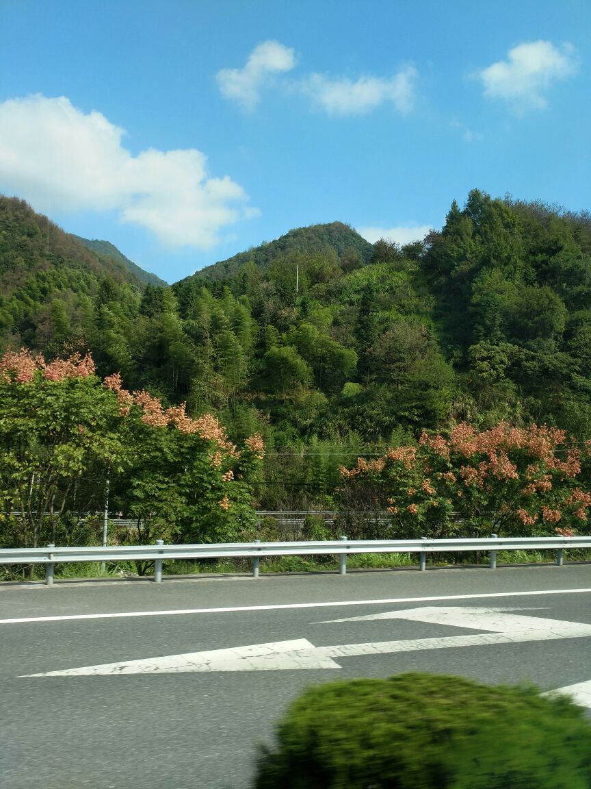 天下秀水千岛湖好运岛1日游 含好运岛门票 七