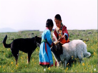 內(nèi)蒙古報(bào)團(tuán)多少錢_內(nèi)蒙古五日游路線_深圳到內(nèi)蒙古旅游報(bào)價(jià)