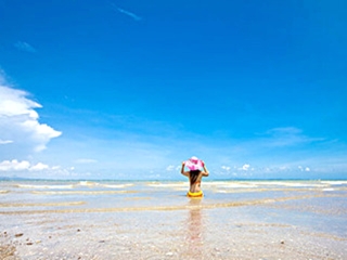 廈門鼓浪嶼游跟團(tuán)_廈門鼓浪嶼旅行跟團(tuán)_廈門鼓浪嶼旅行團(tuán)