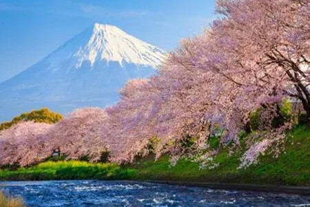 <日本本州-北海道6或7日游>香港三飞,畅游本州北海道,白色恋人,松阪牛,蟹海鲜锅,双温泉,B线富良野,秋叶原奥特莱斯 <日本本州-北海道6或7日游>香港三飞,畅游本州北海道,白色恋人,松阪牛,蟹海鲜锅,双温泉,B线富良野,秋叶原奥特莱斯