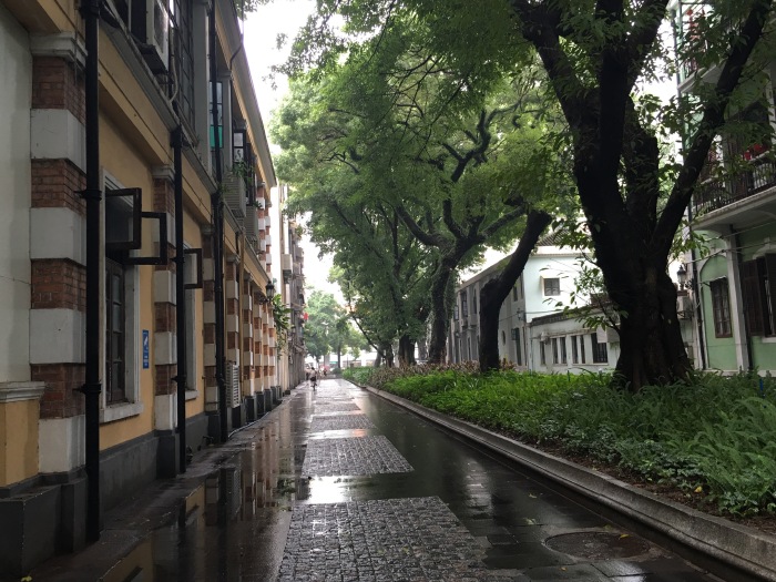 雨后的街道湿意浓浓,漫步沙面,犹如时光倒流,置身百年前的时代,幽静