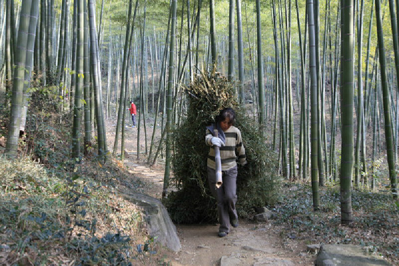 徒步莫干山_莫干山游记_途牛