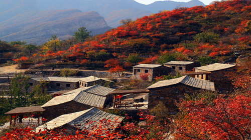 坡峰岭风景区