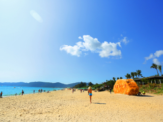 海南三亞游 旅行團(tuán)_海南三亞半自助游_近期海南三亞游價(jià)格
