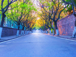 山東青島跟團(tuán)還是自由行_跟團(tuán)山東青島旅游價格表_山東青島游報價