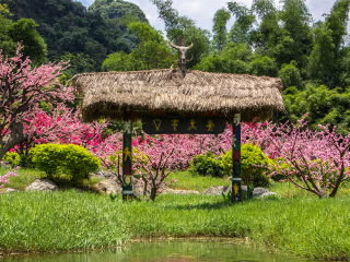 桂林旅游價(jià)格多少跟團(tuán)_桂林旅游跟團(tuán)需多少錢(qián)_桂林旅游多少錢(qián)一個(gè)人