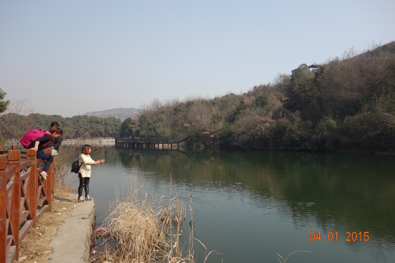 人间天堂白马涧龙池风景区_白马涧游记_途牛