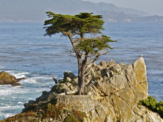 美國旅游一次多少錢_美國最佳旅游路線_美國半自助游