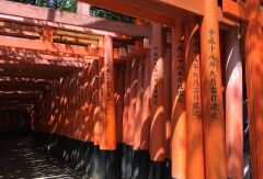 景点模块 