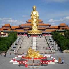 活动模块 