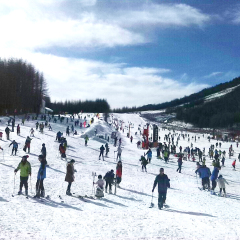神农架国际滑雪场 景点模块