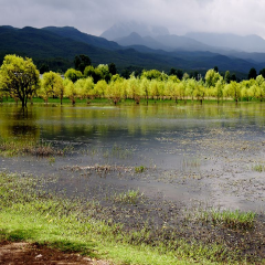 拉市海 景点模块