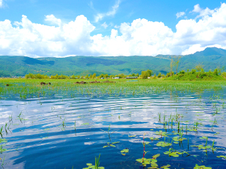 去丽江旅行_公司丽江旅游_丽江旅游安排