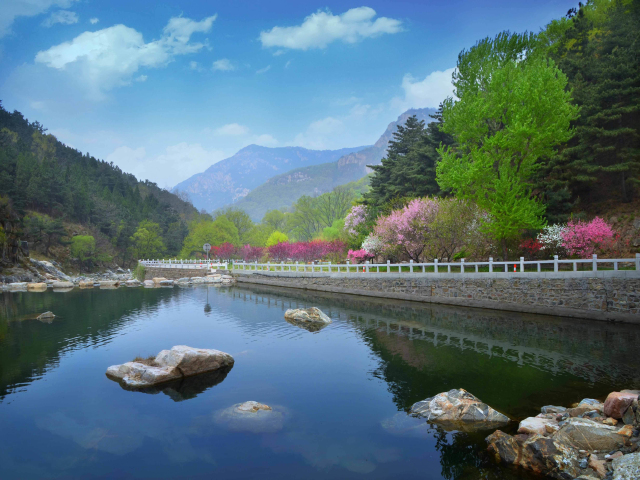 山东曲阜-泰山-桃花源-济南3日游1 8人精致小团 2晚