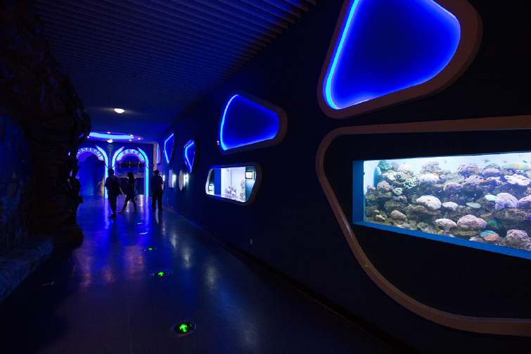 【芜湖大白鲸海洋公园门票价格】2017芜湖大