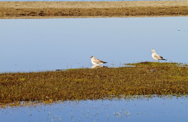 国庆节去拉萨当月天气_国庆节去拉萨穿衣指南